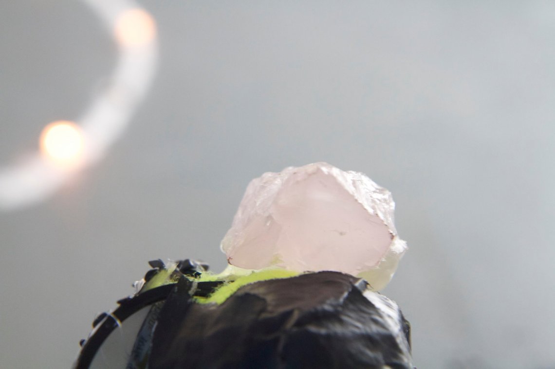 13072908_572094799644521_1976454577712895654_o