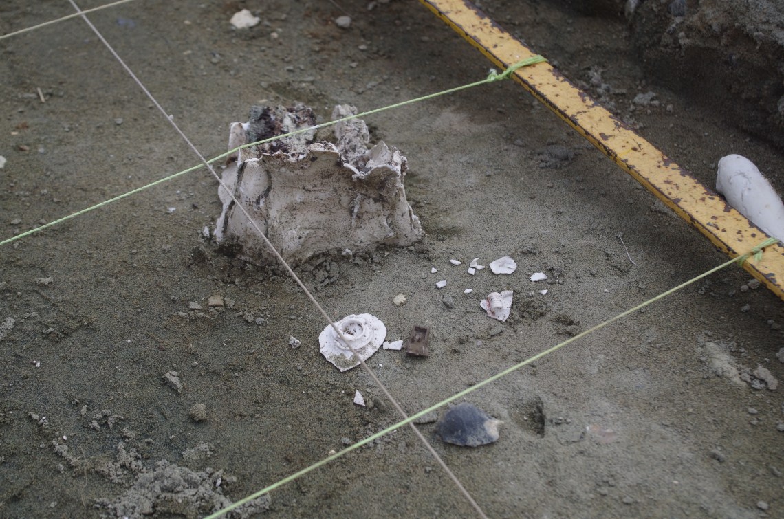 molly-harcombes-finds-situated-in-the-trench